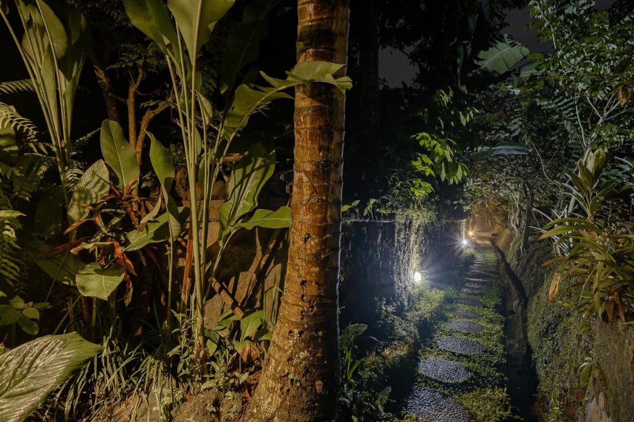 Moringa Ubud Villa Exterior foto