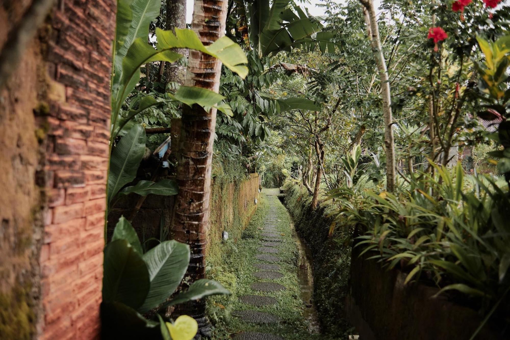 Moringa Ubud Villa Exterior foto